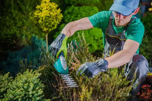 landscaping services Sikeston